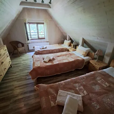 Zeleny Dom Lodge