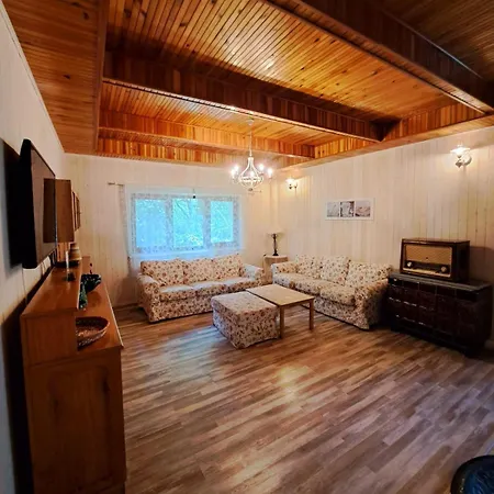 Zeleny Dom * 모드라